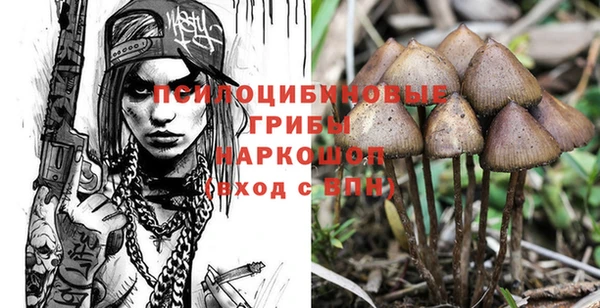 стафф Богданович