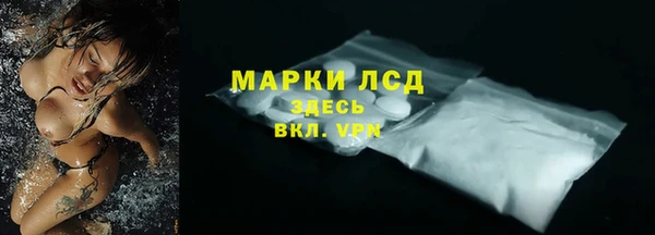 PSILOCYBIN Аркадак