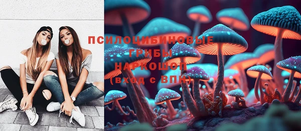 PSILOCYBIN Аркадак