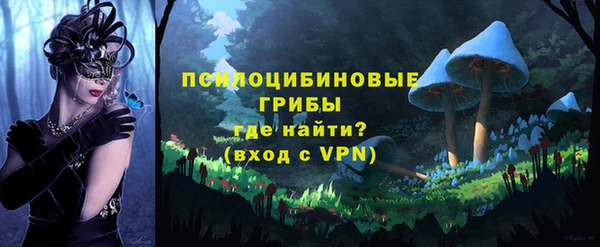 PSILOCYBIN Аркадак