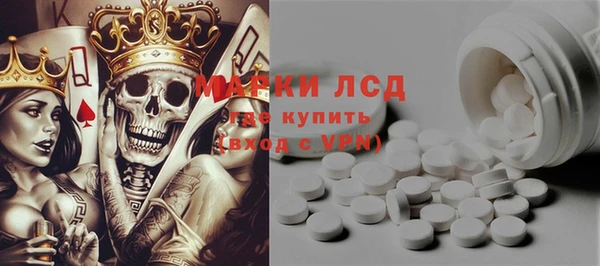 PSILOCYBIN Аркадак